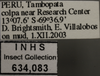 Other on Dilobopterus politus (Schmidt, 1928): Labels. (Observation).