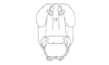 Dichroplus alejomesai Liebermann, 1967: Fig. 8. male, head, frontal view. (Otu).