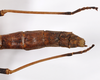 CollectionObject 1561435; 48ec0267-0823-48af-a170-1e8636a8aab7: copyright MNHU, Berlin. female: end of abdomen, dorsal view (holotype). (CollectionObject).
