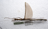 CollectionObject 1580881; fe3c5133-badf-45a2-b17b-2497511fed12: copyright SPM, Kinabalu. female (holotype). (CollectionObject).