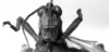 CollectionObject 1518630; a54aa526-e123-4daf-9d56-bf76767d57af: Image, Carbonell, C.S. at the British Museum, 1970. male, frontal view (holotype of Agriacris ferox). (CollectionObject).