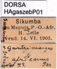 CollectionObject 1568989; 1cda1e7f-2118-4ff8-aa00-a3c80c9617fb: labels (paratype of Gastrimargus africanus var. zebrata). (CollectionObject).
