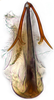 Aedeagus, ventral view on Bonamus jussaral Zahniser, 2021: caudal view. (Observation).