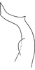 Stylus on Erythridula perita (Beamer, 1935): Stylus (holotype of E. extrema Auten & Johnson). (Observation).