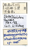 Other on Bothrogonia shuichengana Li, 1983: (Observation).