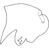 Pygofer, lateral view on Anufrievia qinlingensis Yang & Zhang, 2018: Pygofer, lateral view. (Observation).