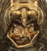 CollectionObject 1534967; 8dd7d2dd-75e0-4986-8840-160707c6e99a: male cerci (lectotype). (CollectionObject).