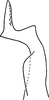 Stylus: Stylus (holotype). (Observation).