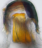 Aedeagus, ventral view: !! display not done !! on Cosmotettix Ribaut, 1942: n. sp.: (Observation).