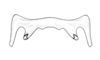Urubamba aptera Bruner, 1913: Fig. 17. epiphallus, dorsal view. (Otu).