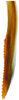 Ovipositor: !! display not done !! on Igutettix pulverosus Matsumura, 1932: second valvula, lateral view. (Observation).