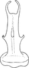Aedeagus, ventral view on Empoascanara (Empoascanara) tytaniae Dworakowska, 1971: Aedeagus, ventral view. (Observation).