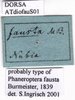 CollectionObject 1538366; 30a726c8-a333-40cb-8825-60b59b1c621d: labels. (CollectionObject).
