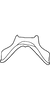 Connective on Colistra parvulus (Linnavuori, 1961): Connective. (Observation).