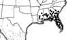 Achurum carinatum (Walker, 1870): distribution. (Otu).