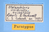 CollectionObject 1521304; 6d80ee43-6db8-408b-9834-191d2947a9c7: labels (paratype). (CollectionObject).