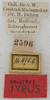 CollectionObject 1531381; NMW 2596, 4704480c-c2eb-45dd-b30a-d2ed8fa76552: labels (holotype). (CollectionObject).
