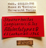 CollectionObject 1543677; a73d2799-d4d5-4f91-9f57-8b6d89fdb6c5: labels (lectoallotype). (CollectionObject).