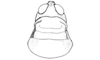 Chibchacris furcata Hebard, 1923: Fig. 52. female, head and pronotum, dorsal view. (Otu).
