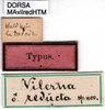 CollectionObject 1521412; f7a67c23-b6c7-4ea1-adce-065cab7589c6: labels (holotype). (CollectionObject).