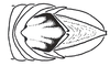Zoniopoda omnicolor (Blanchard, 1843): Fig. 6. male abdomen tip, dorsal view. (Otu).