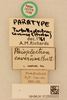 CollectionObject 2069340; NHMUK012505202, 79b576c3-9a46-4e93-bc1a-93573782c939: labels (paralectotype). (CollectionObject).