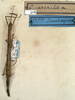 CollectionObject 1557703; NMW 508, c5bc1201-ac29-4091-8c48-0faf05e620c9: copyright NMW, Vienna. female (syntype). (CollectionObject).