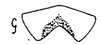 Ovipositor: !! display not done !! on Tropicanus DeLong, 1944: Sternite VII. (Observation).
