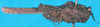 CollectionObject 1500258; 839d7aaf-9e63-4253-a9ff-fe789560c21c: female, lateral view (holotype). (CollectionObject).
