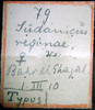 CollectionObject 1532618; 401820c1-c3bd-409e-a4f1-7ad99f4a4a65: labels (holotype). (CollectionObject).