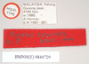 CollectionObject 1557212; NHMUK(SF IMPORT DUPLICATE) 844729, ec1666cf-b9a0-438f-a476-303482397e04: copyright Natural History Museum, London. male, data labels (holotype). (CollectionObject).
