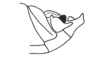Oteroa paraibana Amédégnato & Descamps, 1979: Fig. 149. male abdomen tip, lateral view. (Otu).