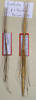 CollectionObject 1563632; e459ce49-26c2-4e37-b04d-74627e201a5d: copyright NMW, Vienna. male and female (paratypes). (CollectionObject).;CollectionObject 1563633; b5ff2cd8-5364-4892-a2df-276b9a32f56a: copyright NMW, Vienna. male and female (paratypes). (CollectionObject).