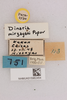 CollectionObject 2052751; 407513ca-ee79-4763-b088-b7eb74904b64, NHMUK015982454: labels (paratype). (CollectionObject).