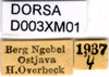 CollectionObject 1505132; a9b92574-a567-4cb8-b8ba-1609423509c8, DORSA D003XM01: labels. (CollectionObject).