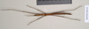 CollectionObject 1559896; 97bec5a9-7e9d-4ed0-b65e-9b1e7b174f33: copyright Natural History Museum, London. male (paratype). (CollectionObject).;CollectionObject 1559897; 64a8ed95-8ae4-4f6a-8271-6afa8f36c534: copyright Natural History Museum, London. male (paratype). (CollectionObject).