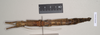 CollectionObject 1560674; NHMUK(SF IMPORT DUPLICATE) 844812, 9c13f179-7751-4b0e-a215-d04faf4989ed: copyright Natural History Museum, London. female Oxyartes lamellatus (lectotype). (CollectionObject).