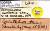 CollectionObject 1565727; 895c871d-d2a4-43bc-8948-f80559dc1132: labels (paratype). (CollectionObject).