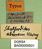 CollectionObject 1501095; 7bdf8cfe-6ca0-43ea-8238-d024e8f22729: labels (holotype). (CollectionObject).