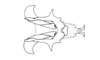 Chlorus vittatus Bruner, 1906: Fig. 5G. endophallic plate, cingulum and aedeagal valves with sheath, dorsal view. (Otu).
