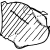 Pygofer, lateral view on Empoascanara (Empoascanara) yaya Dworakowska, 1992: Pygofer lobe, lateral view. (Observation).