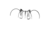 Morphopus phyllocerus (Bolívar, 1887): Pl. 1, Fig. 11. male fastigium, dorsal view (Morphopus affinis). (Otu).