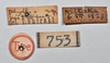 copyright NTUC. female, data labels of synonym Phyllodromia niitakana (syntype). Depicts CollectionObject 1553107; NTUC 753, c117b5aa-fc72-4a7a-ac4d-d9a40c84dff5, a CollectionObject.