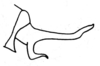 Xyronotus hubbelli Dirsh & Mason, 1979: Fig. 3, 10. male left cercus, lateral view. (Otu).
