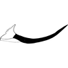Pygofer appendages on Empoasca (Empoasca) confusania Ghauri, 1979: Pygofer process, lateral view. (Observation).