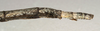 CollectionObject 1559002; NMW 681, 9db4d916-c6f7-4c8e-9bf9-40e31f0d46fc: copyright NMW, Vienna. female: end of abdomen, lateral view (holotype). (CollectionObject).