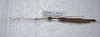 CollectionObject 1576280; 7f77f770-5950-4fa5-a637-d2c728396a69: copyright FRCS, Sabah. female, dorsal view (paratype). (CollectionObject).
