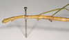CollectionObject 1558546; NHMUK(SF IMPORT DUPLICATE) 845092, 84baf0d9-8a60-4458-be6f-95f9f040b758: copyright Natural History Museum, London. female: head and thorax, lateral view (holotype). (CollectionObject).
