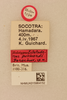 CollectionObject 1476518; 24d7ae22-6f86-432c-9dad-622aa7bf5981, NHMUK015984152: labels (holotype). (CollectionObject).