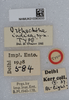 CollectionObject 1519255; a4427c4f-7449-48e8-9480-93fb64b8c711: labels (holotype). (CollectionObject).
